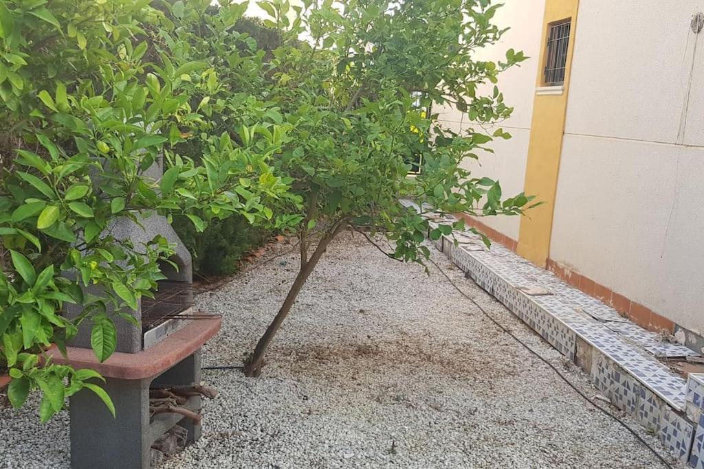 Punta Prima Bungalow Jardin Privado Торевиеха Екстериор снимка