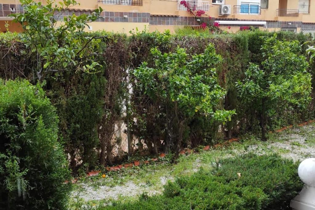 Punta Prima Bungalow Jardin Privado Торевиеха Екстериор снимка