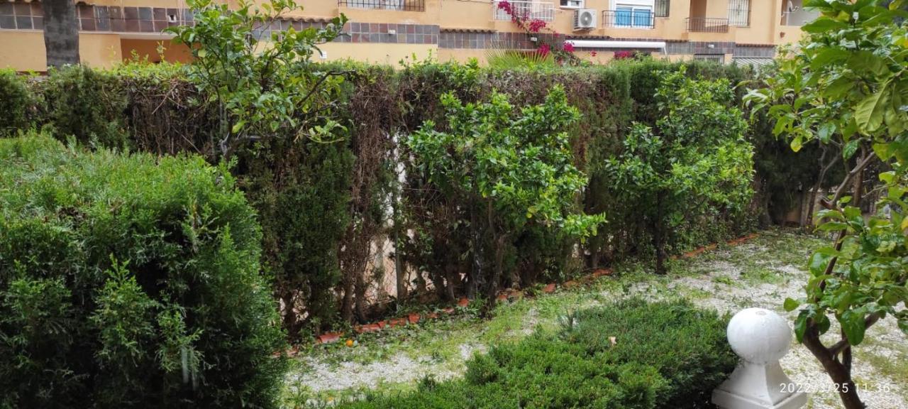 Punta Prima Bungalow Jardin Privado Торевиеха Екстериор снимка